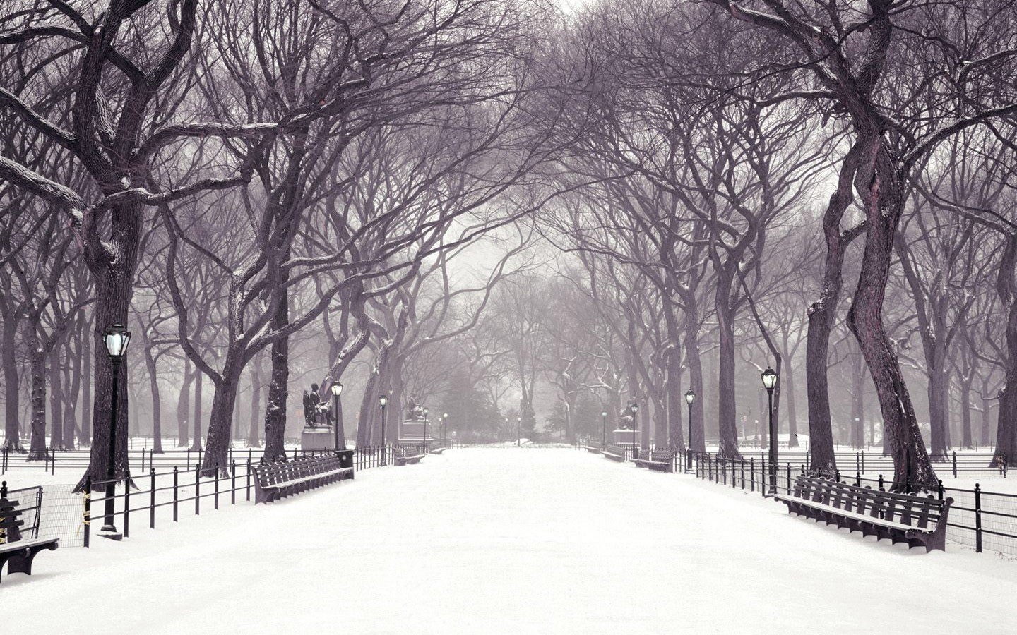 Snowy park path in winter