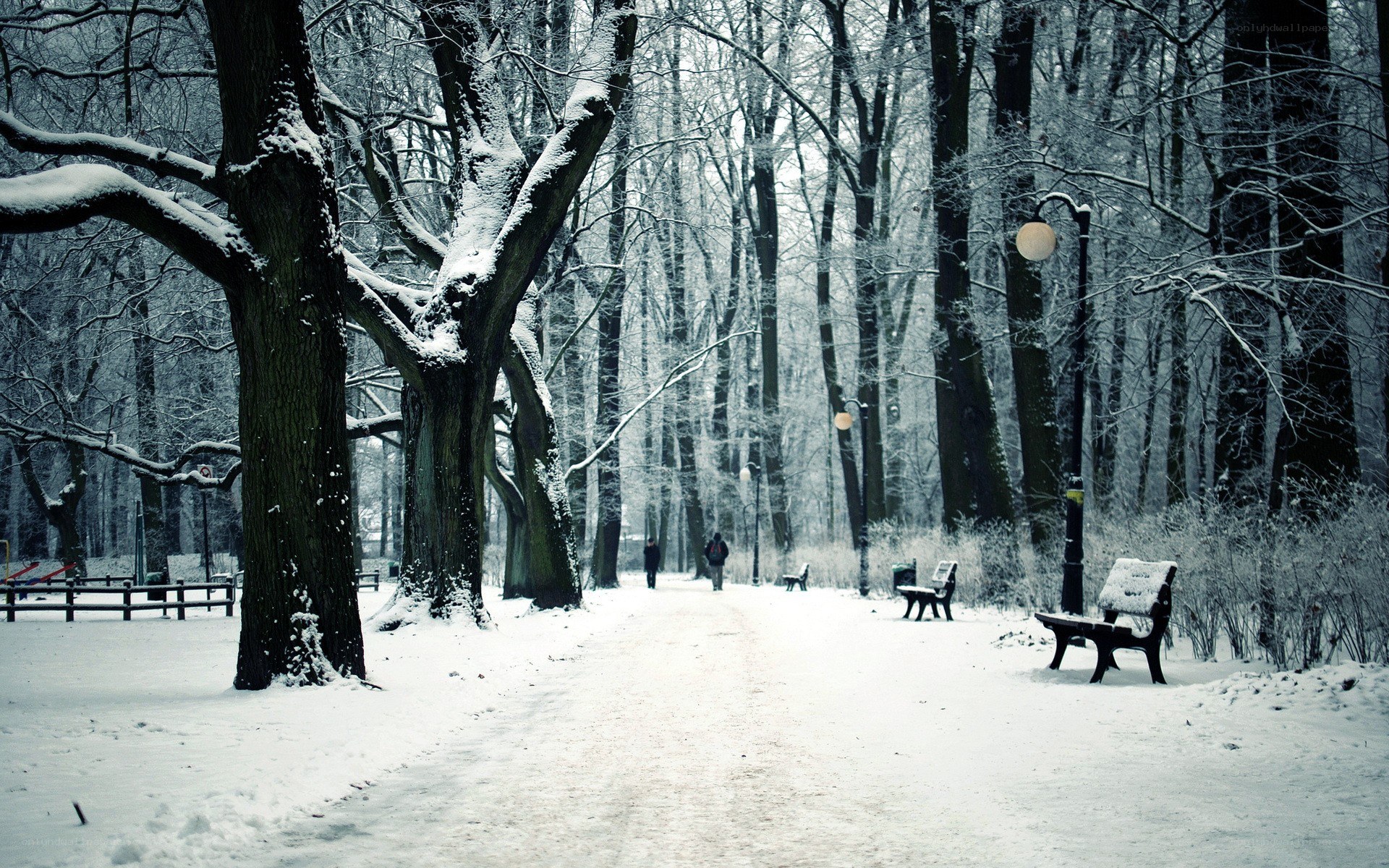 Snowy park path in winter