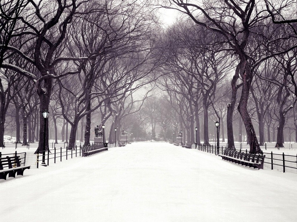 Snowy park path in winter