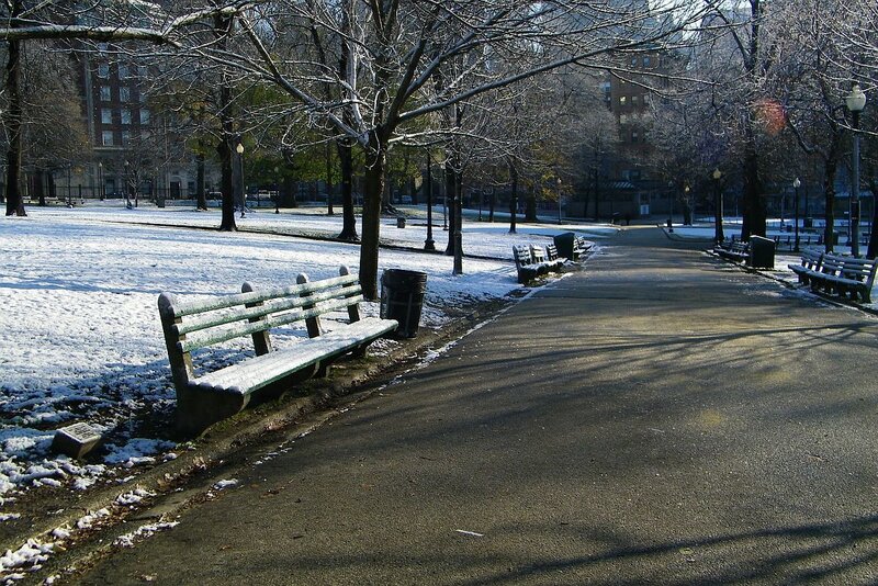 Snowy park path in winter