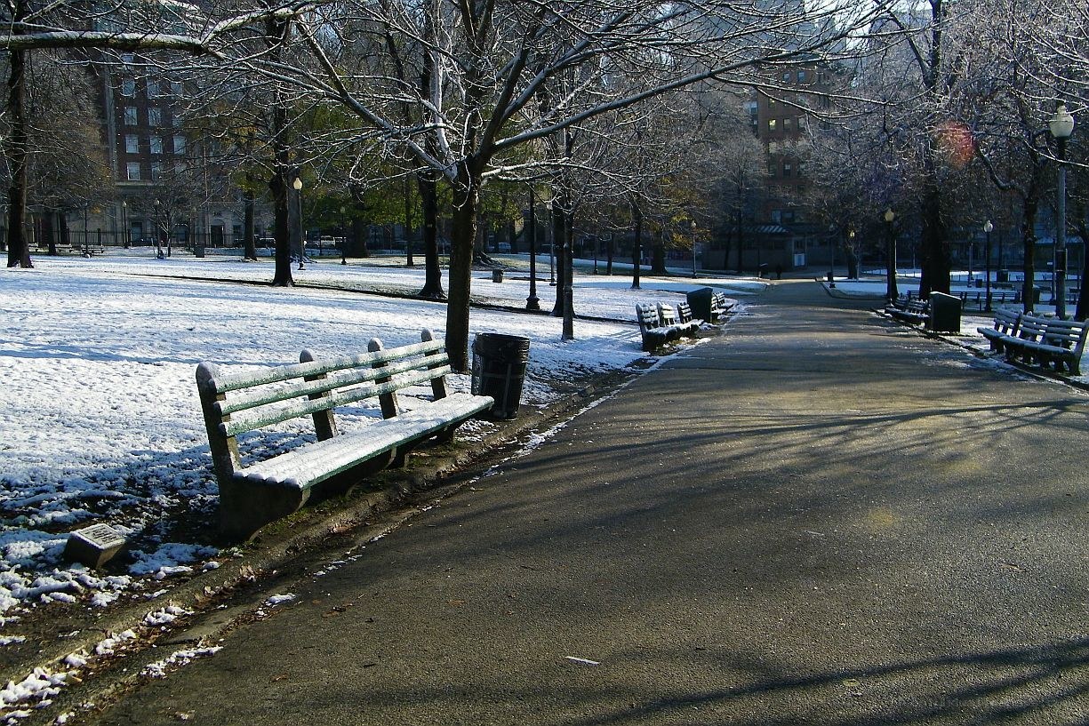 Snowy park path in winter