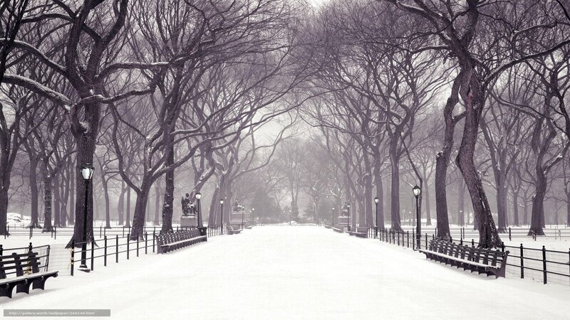 Snowy park path in winter