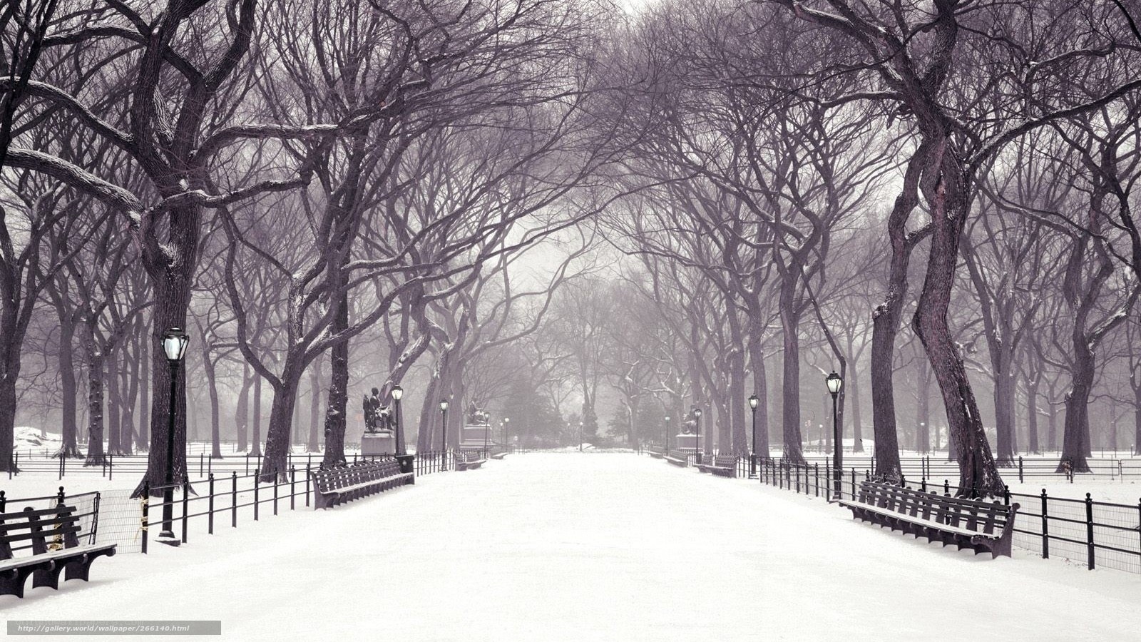 Snowy park path in winter