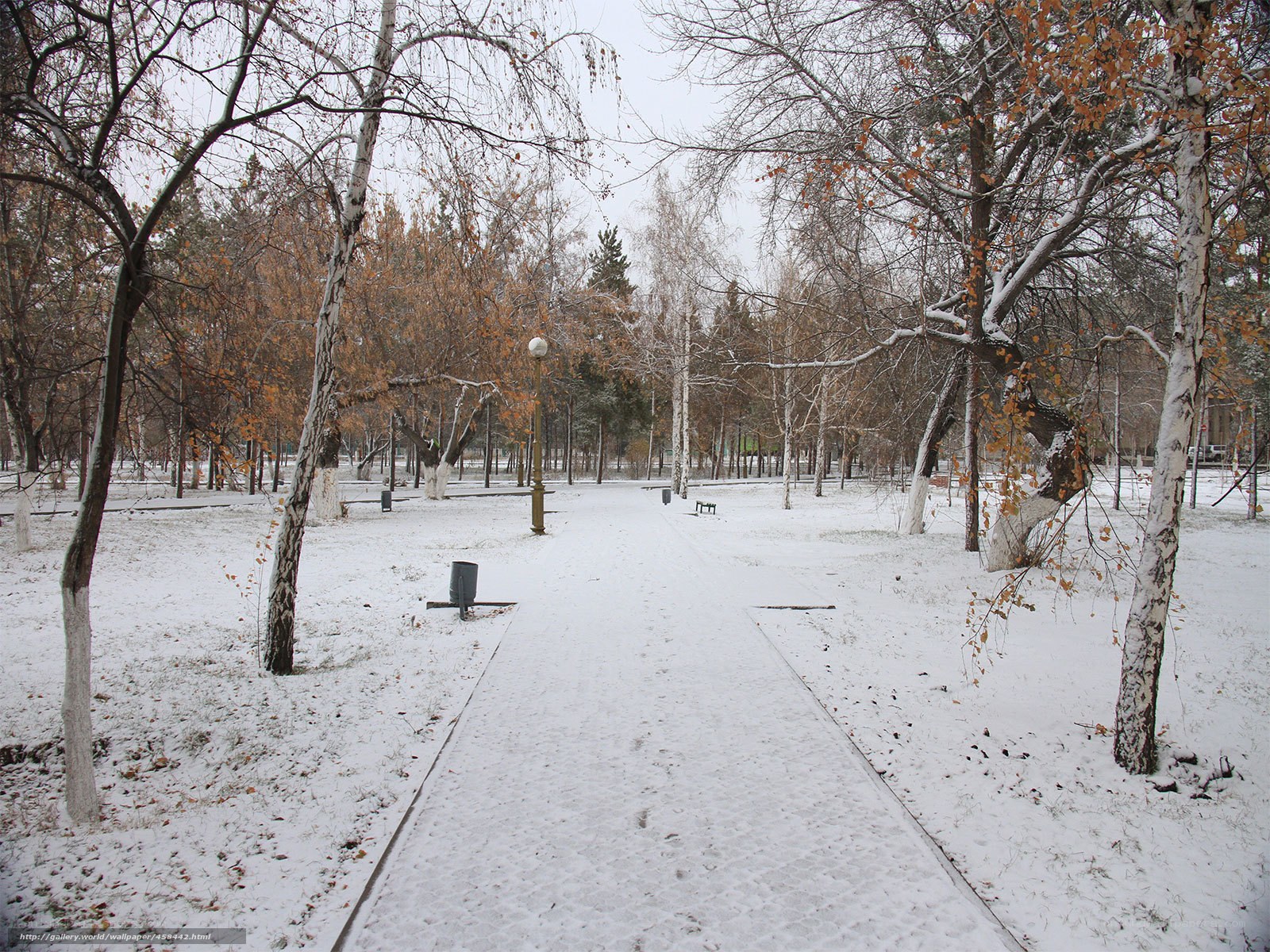 Snowy park path in winter