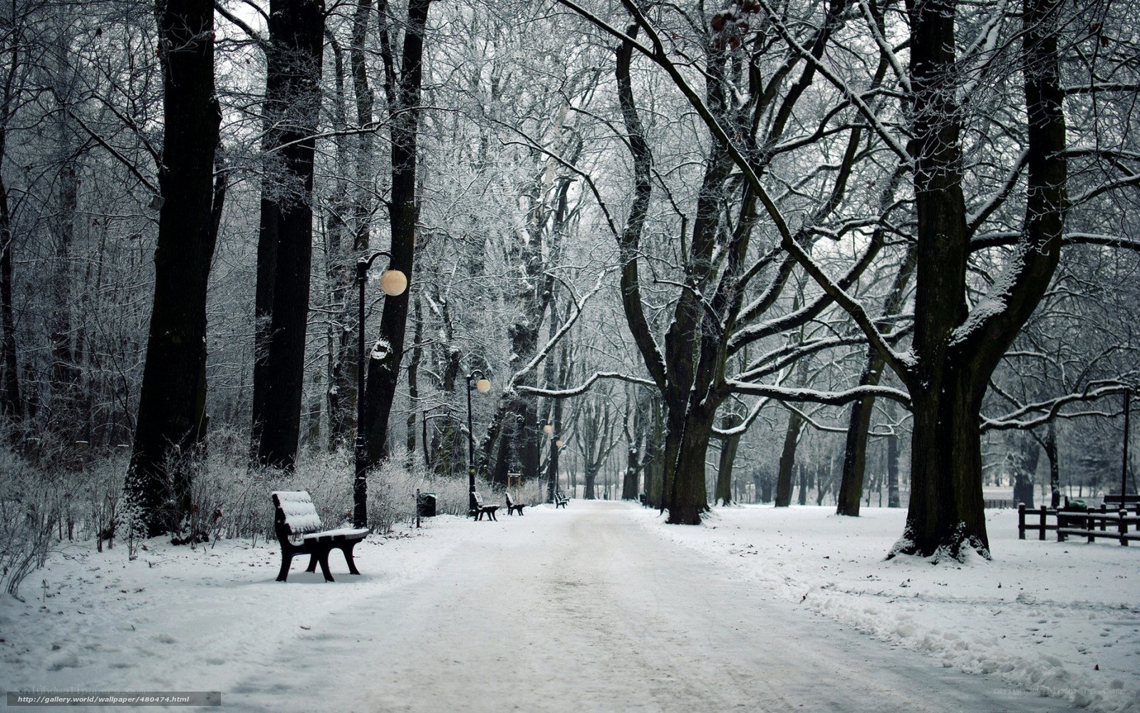 Snowy park path in winter
