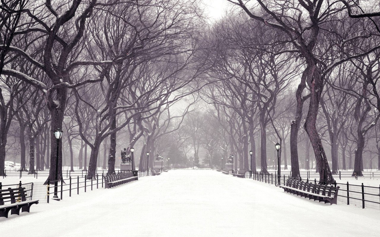 Snowy park path in winter