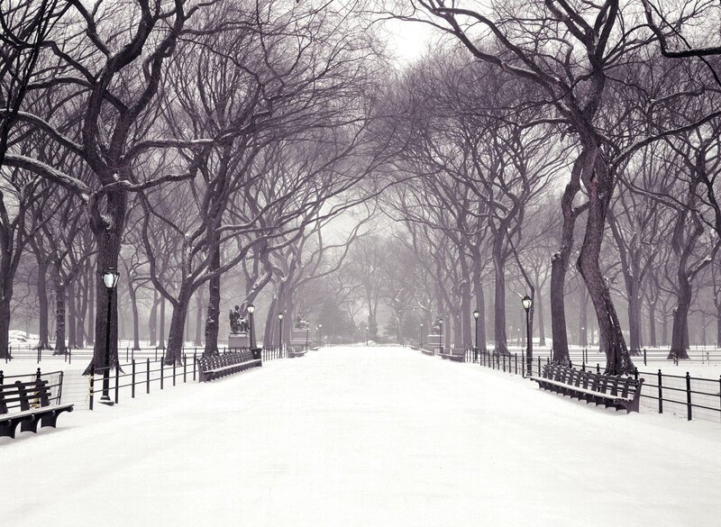 Snowy park path in winter