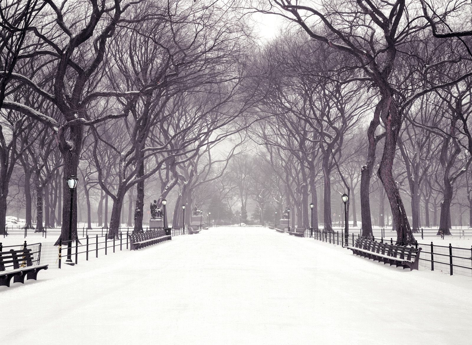 Snowy park path in winter