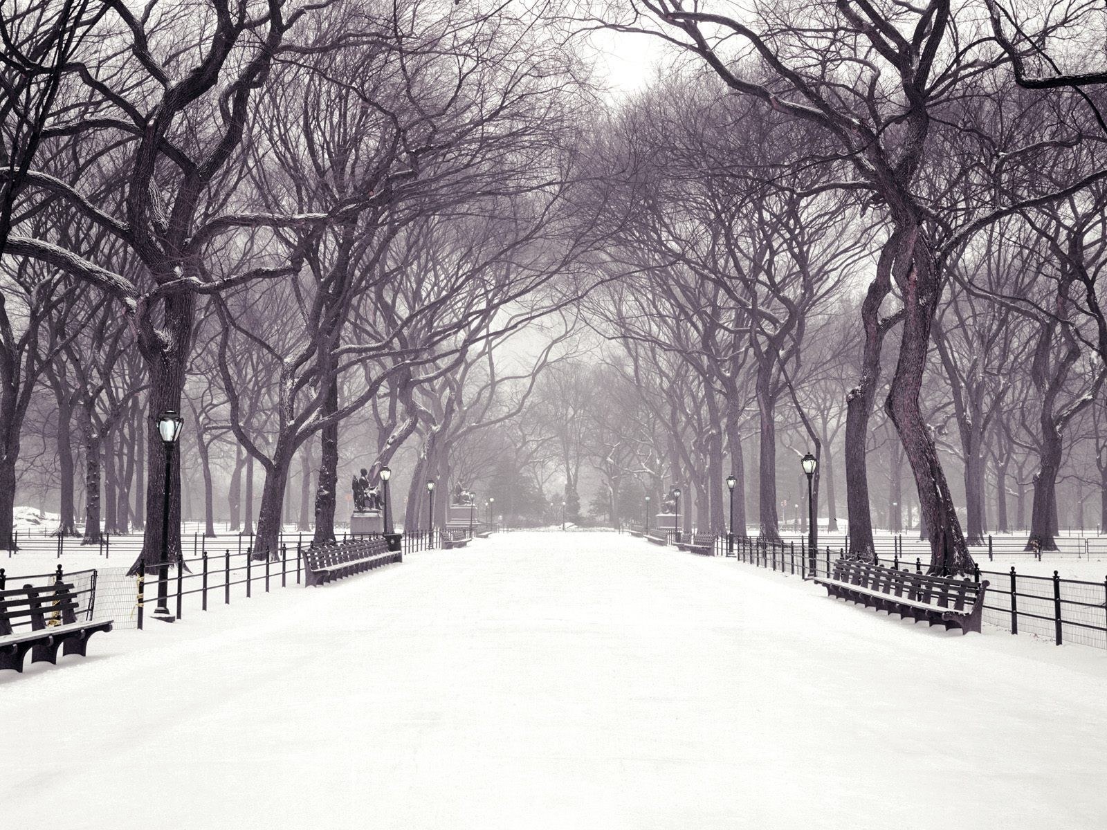 Snowy park path in winter