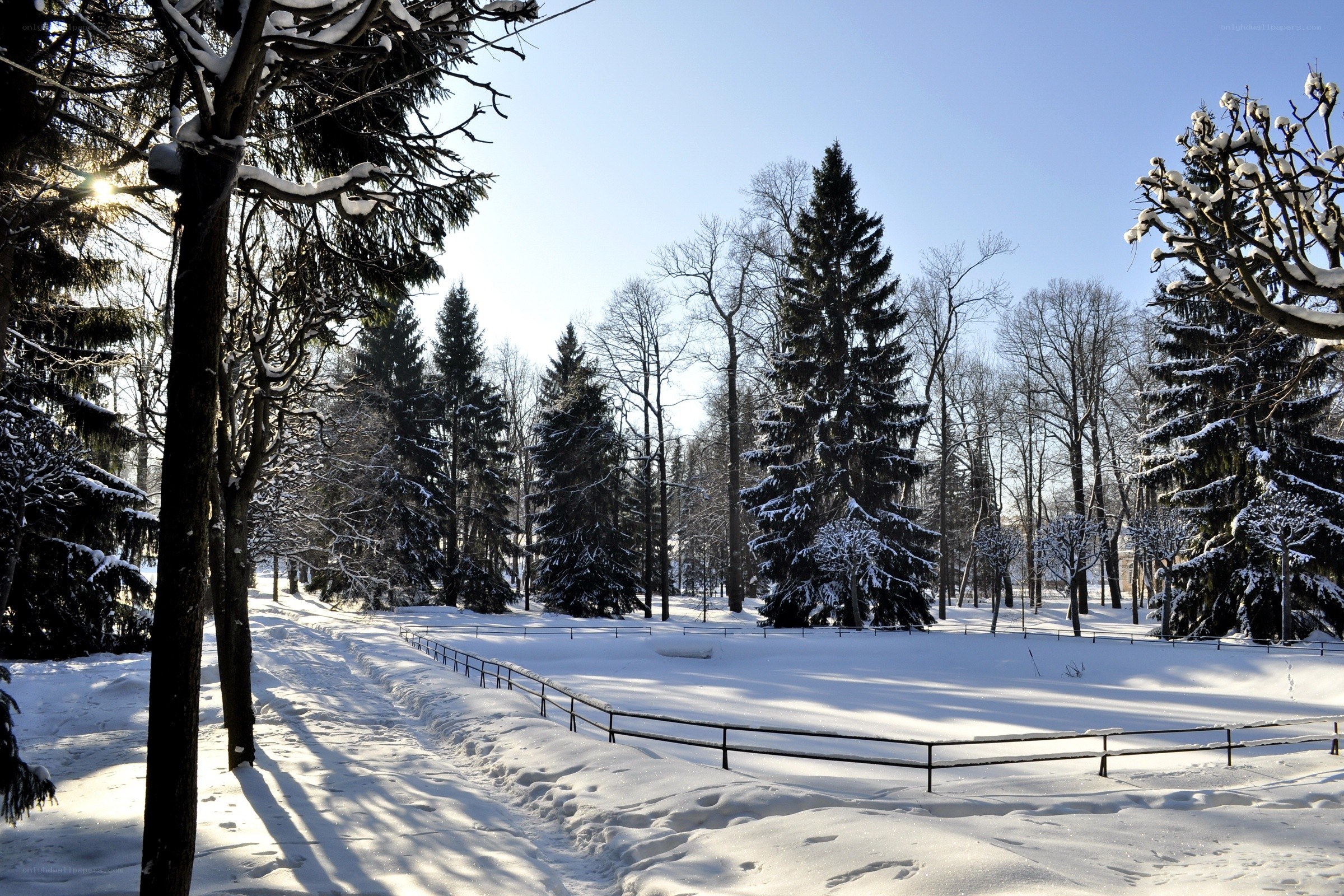 Snowy park path in winter