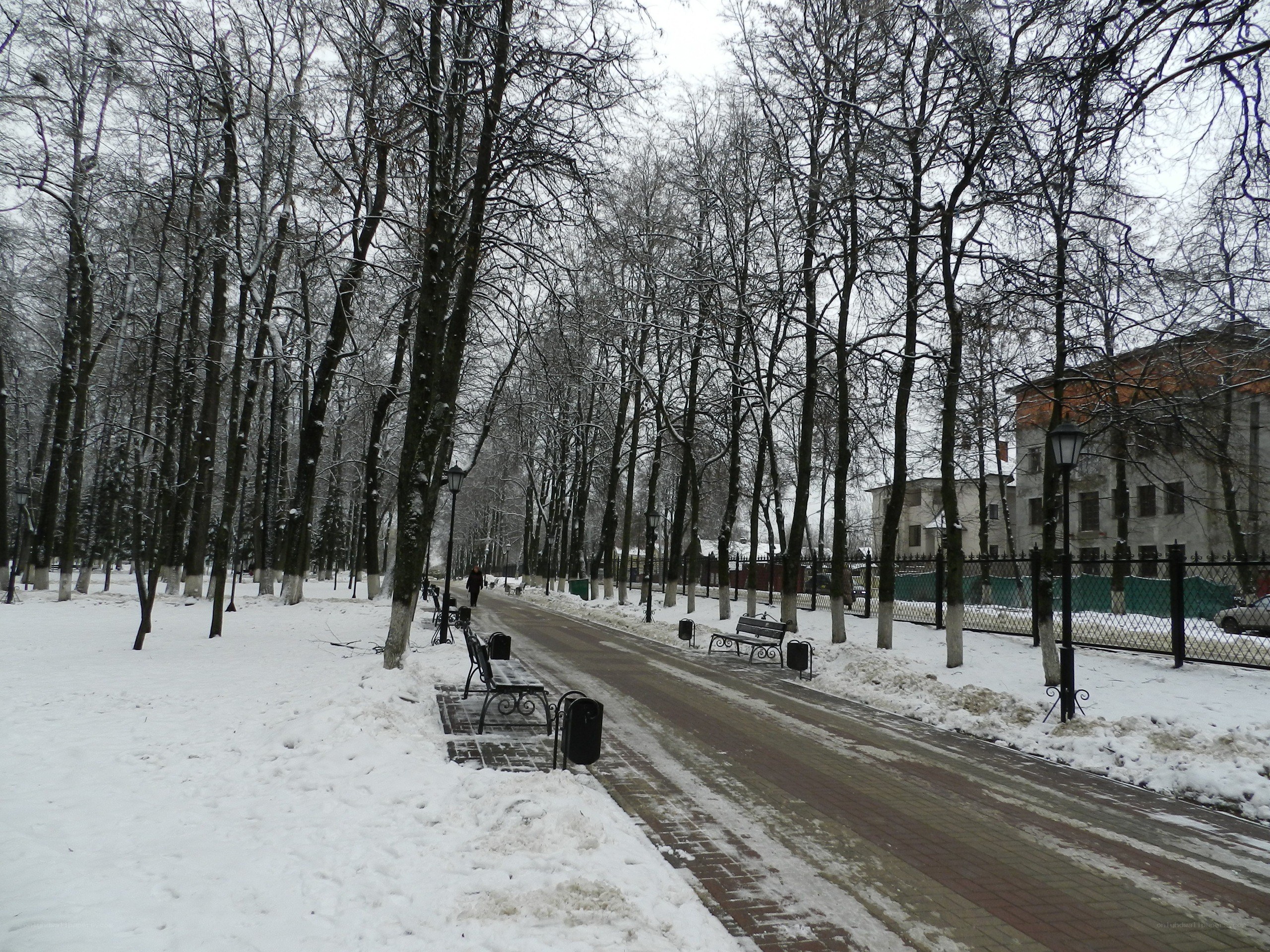 Snowy park path in winter