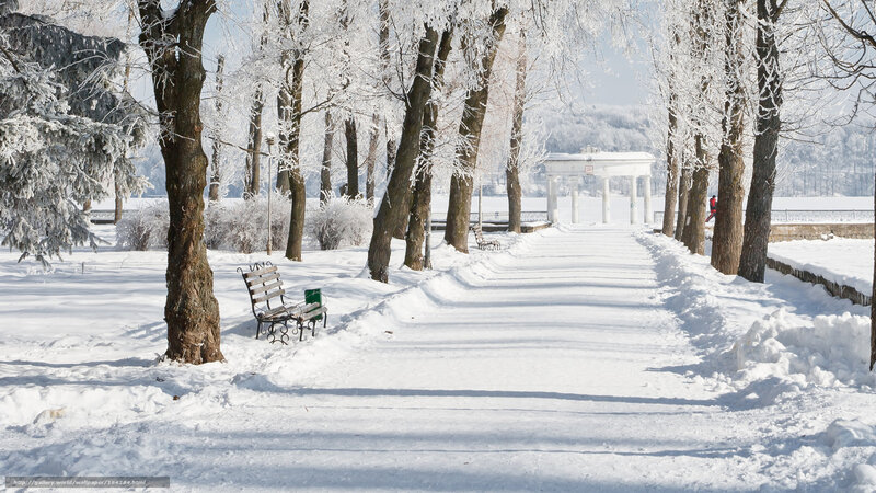 Snowy park path in winter
