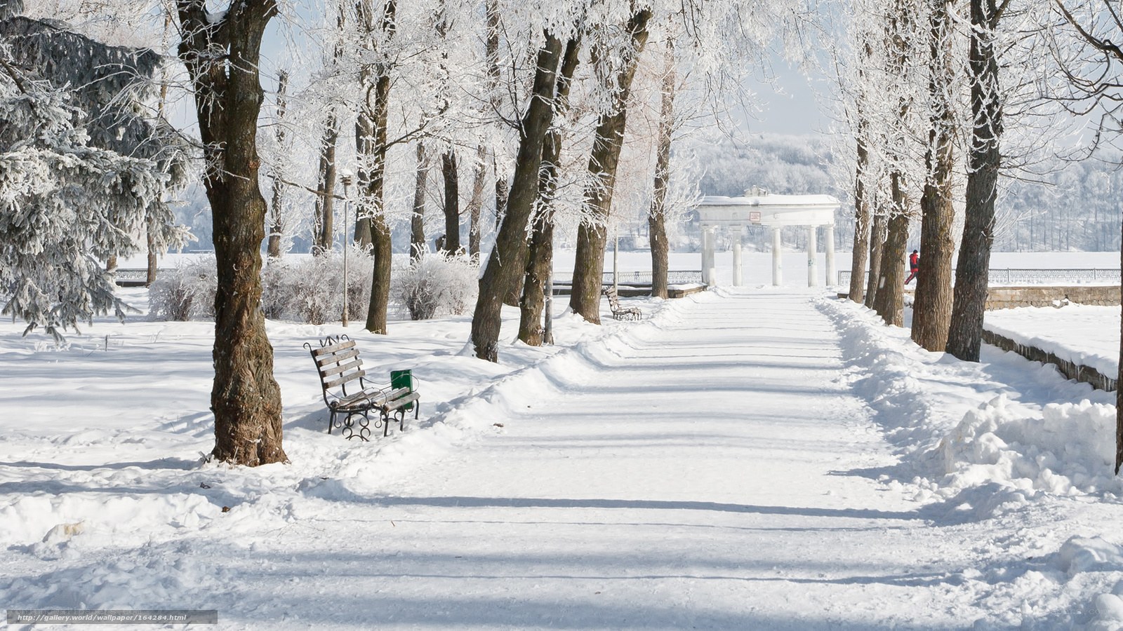 Snowy park path in winter