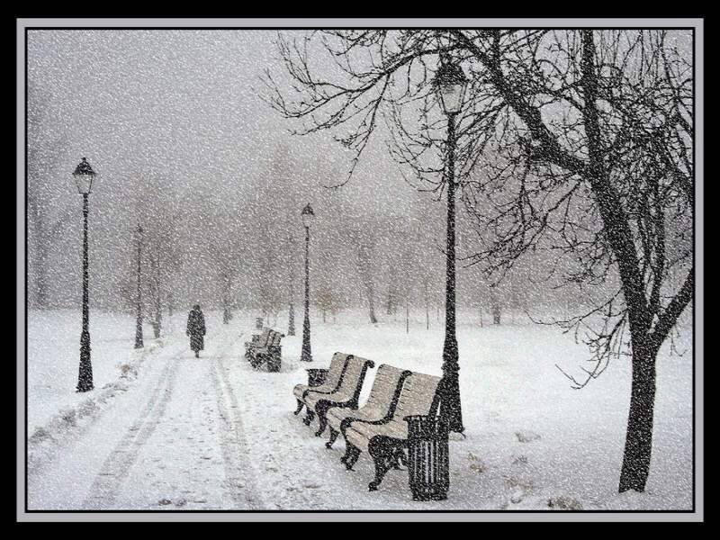 Snowy park path scene