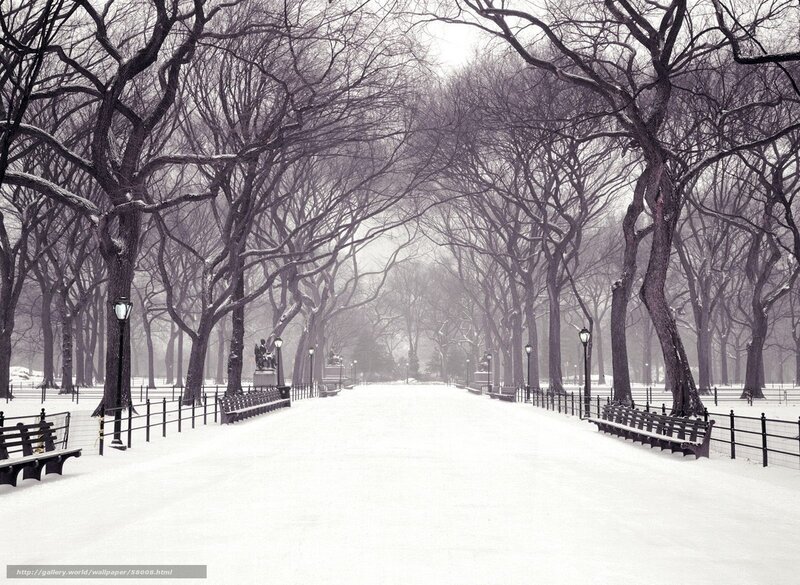 Snowy park path