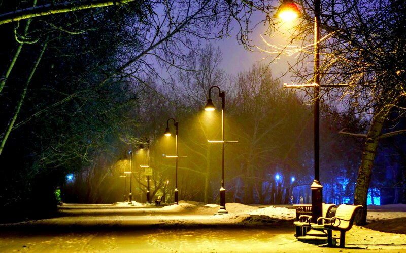 Snowy Park Path — Yellow