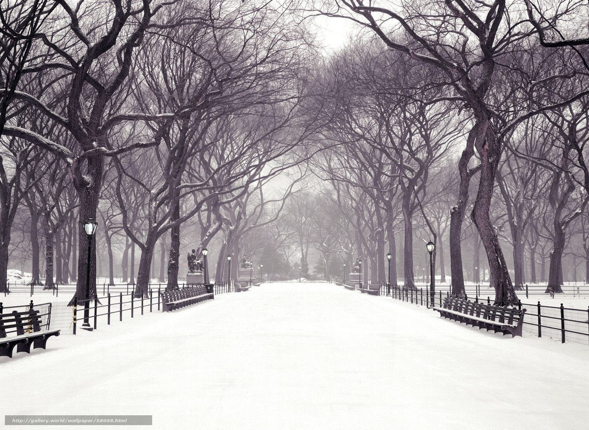 Snowy park path