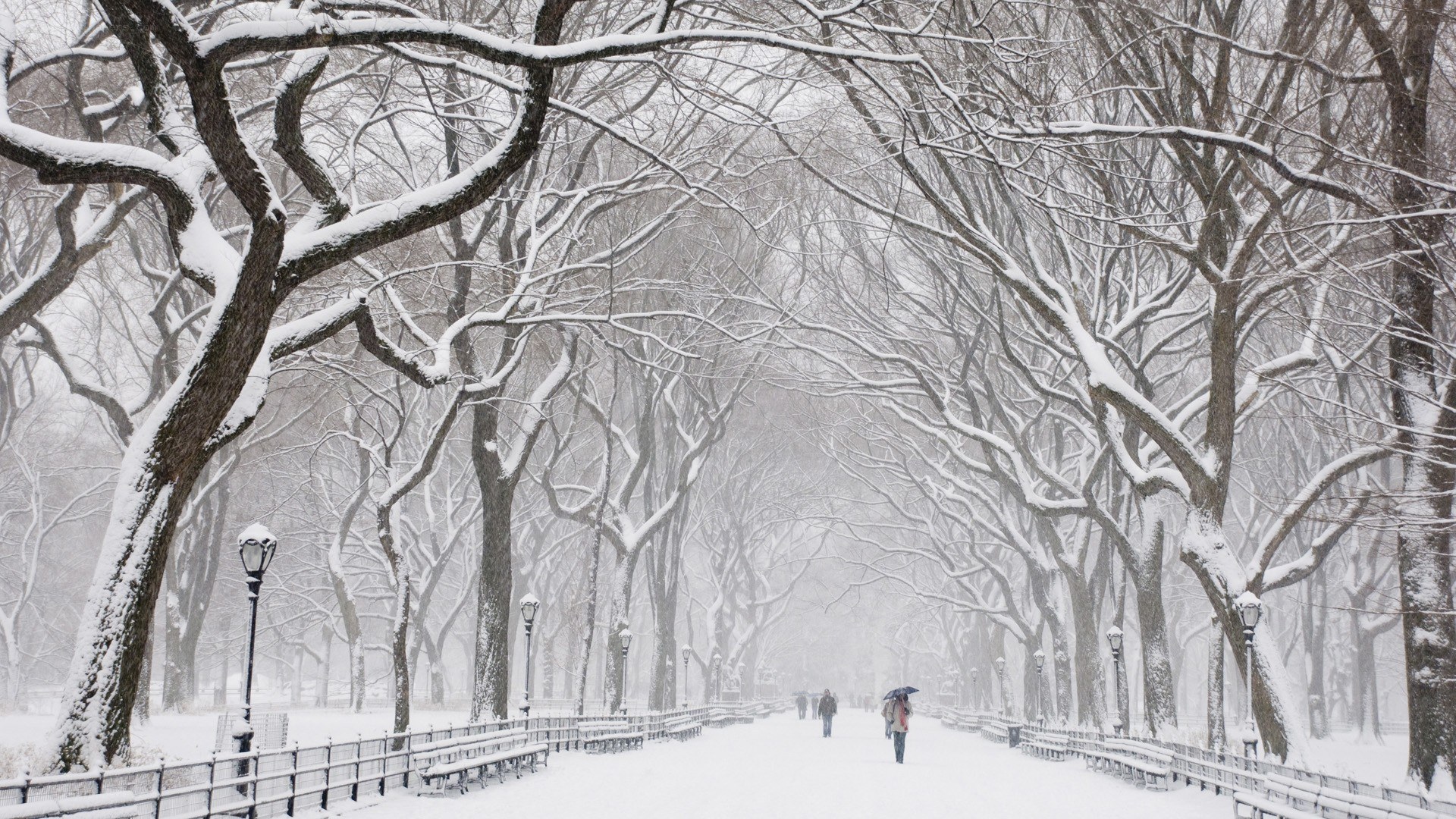 Snowy park pathway