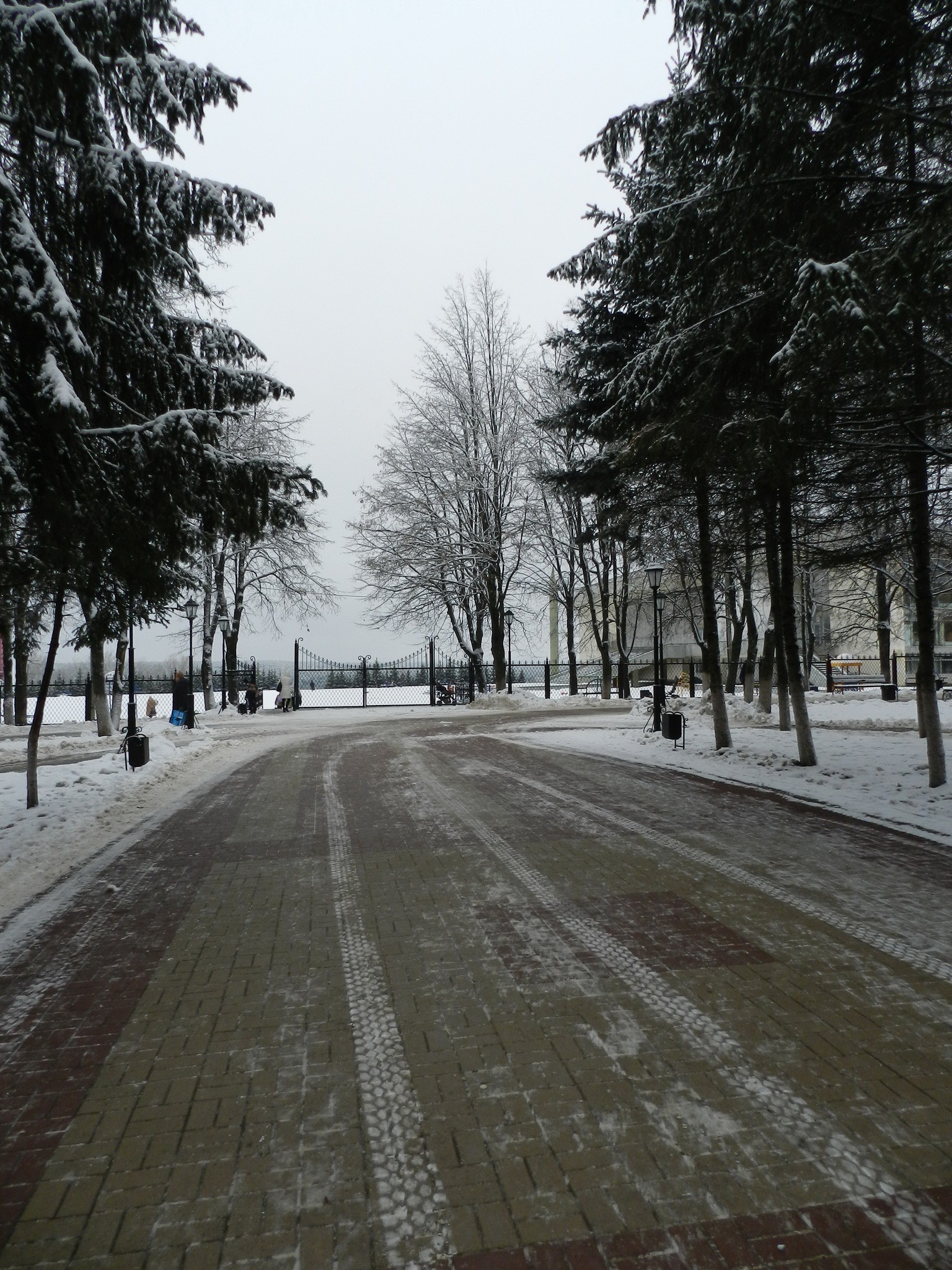 Snowy park pathway