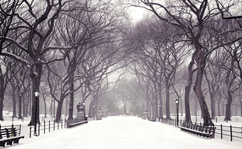 Snowy park pathway
