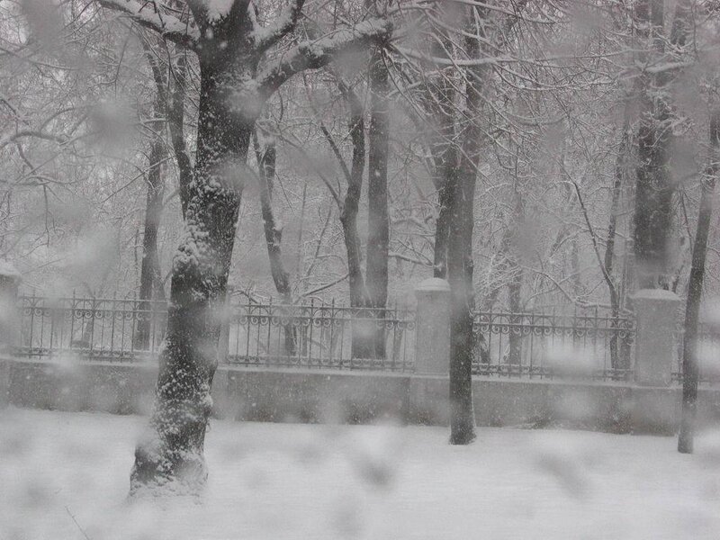 Snowy park scene