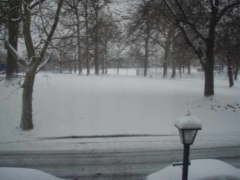 snowy park scene