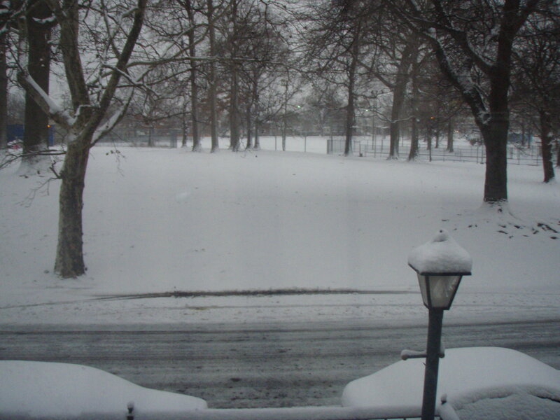 Snowy park scene
