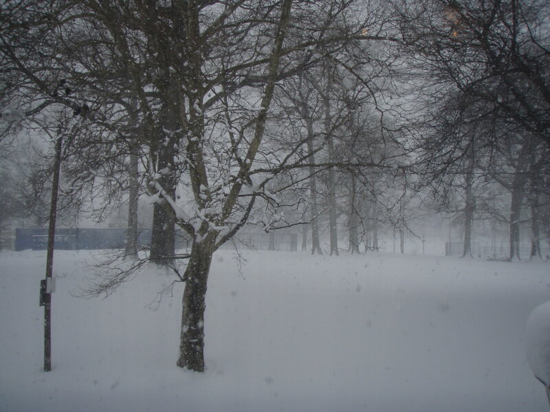 Snowy park scene