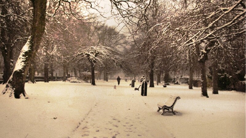 Snowy park scene