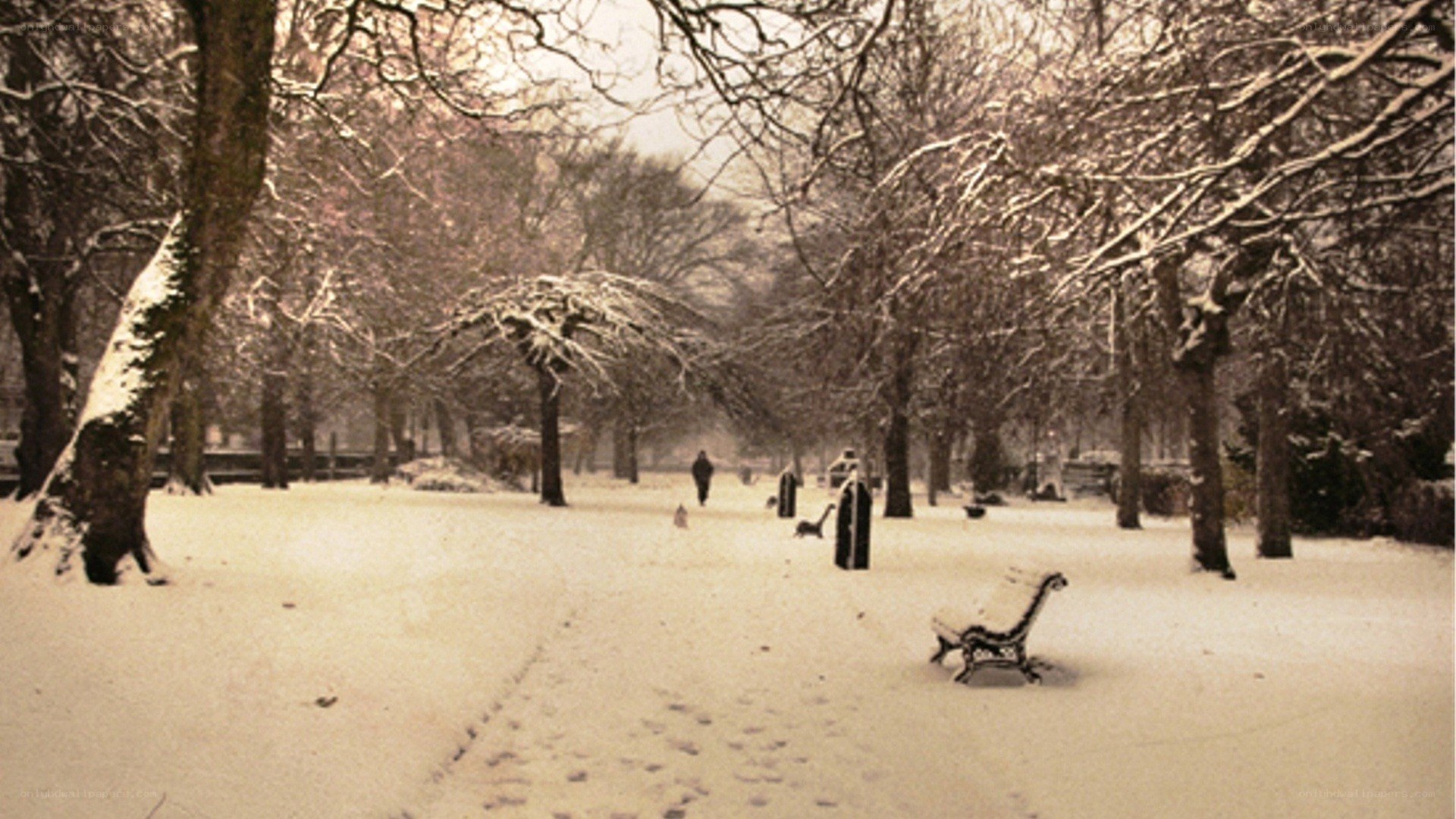 Snowy park scene