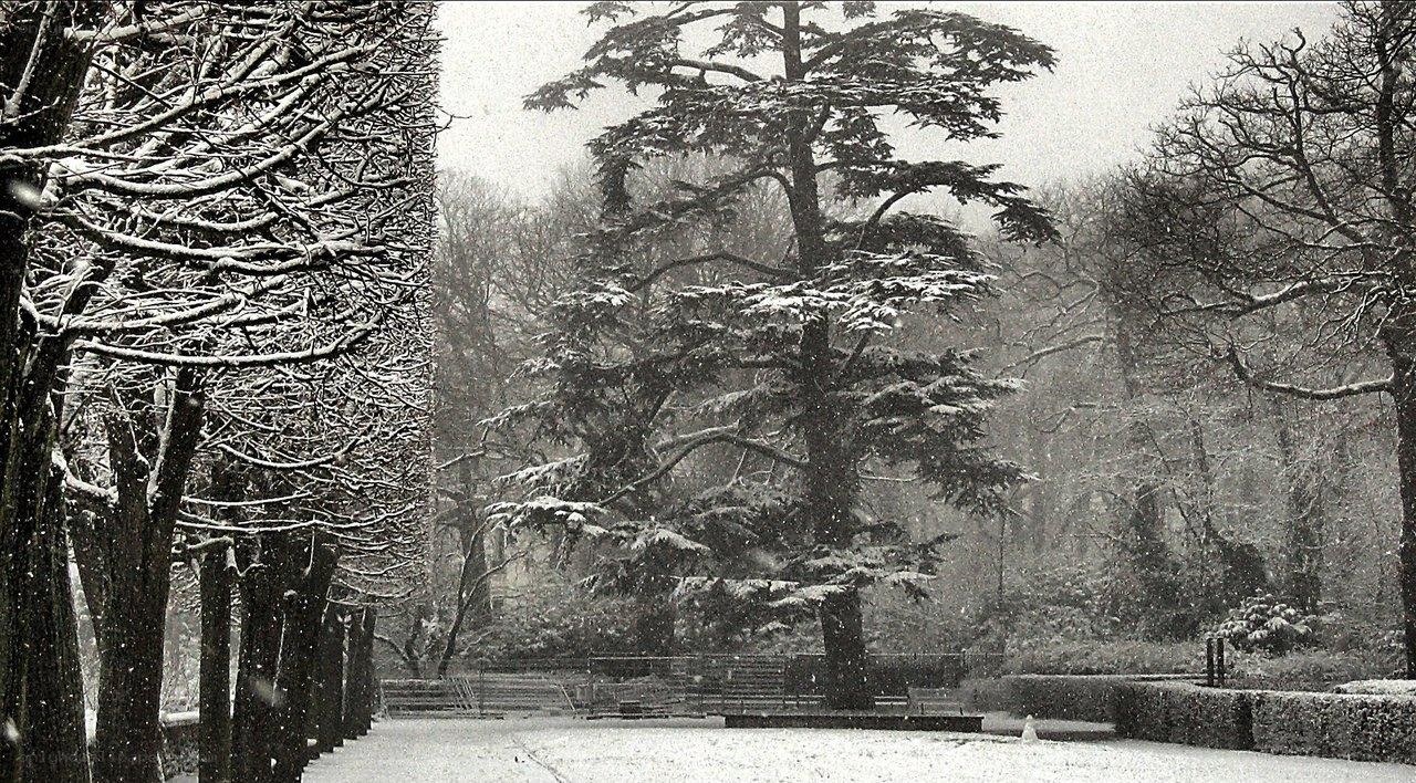 Snowy park scene