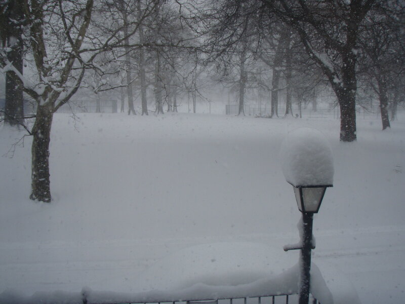 Snowy park scene
