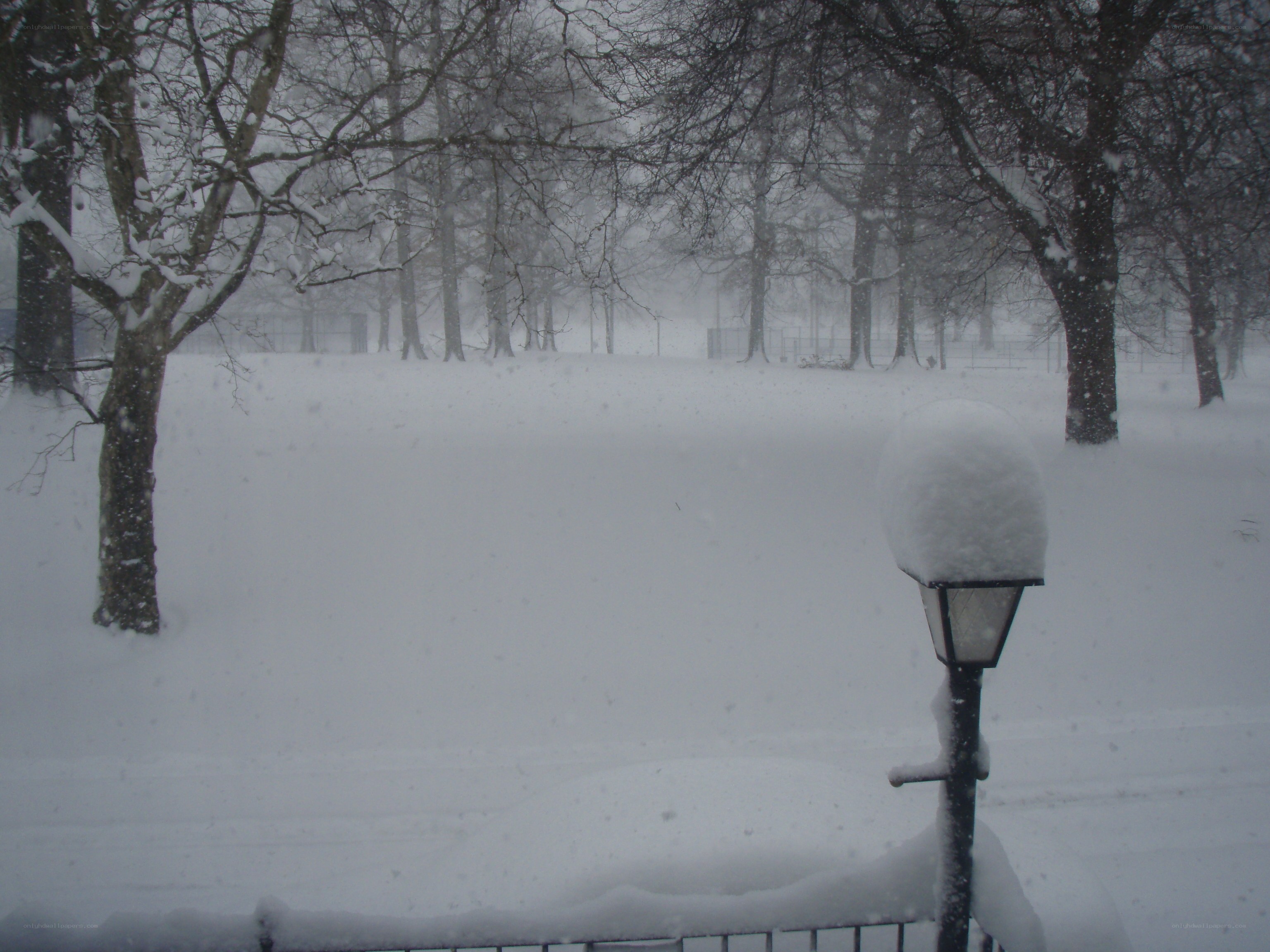 Snowy park scene