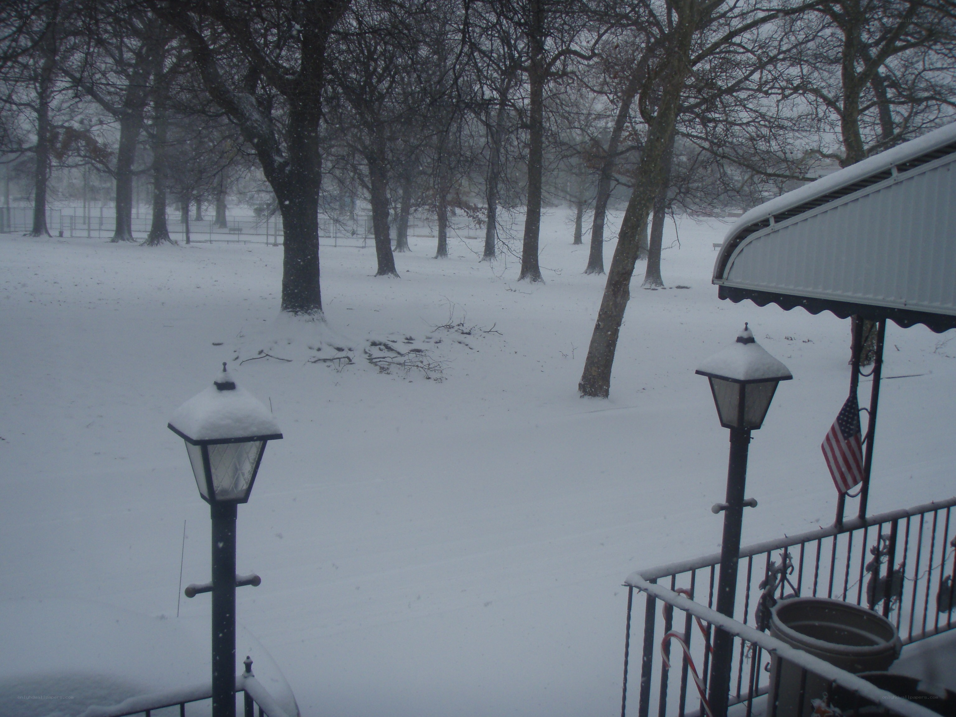 Snowy park view from porch
