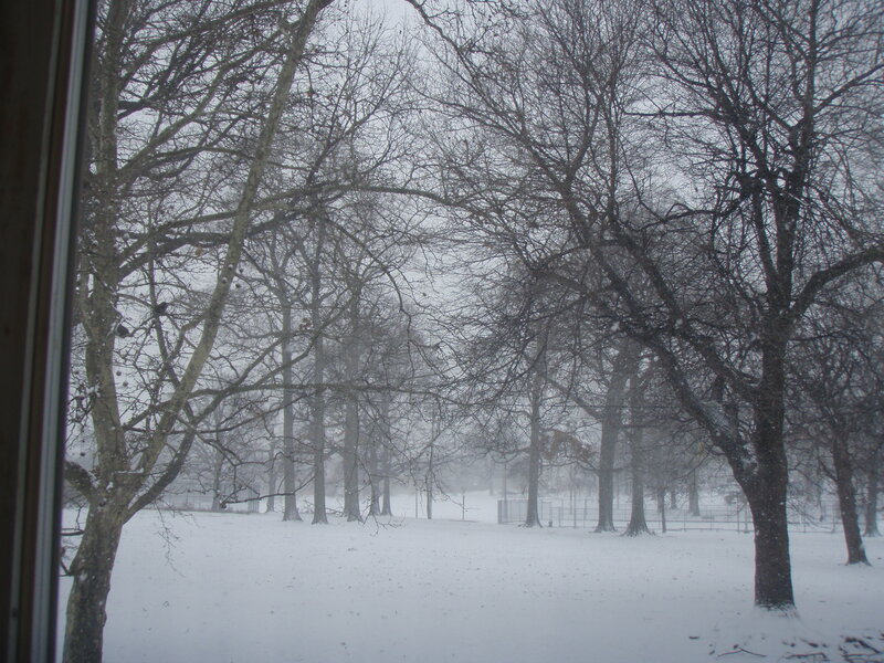 Snowy park view from window
