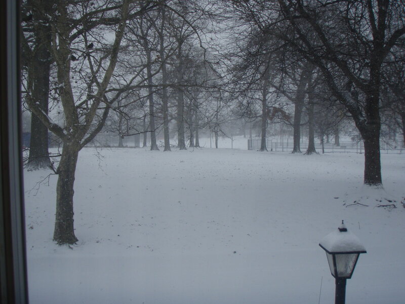 snowy park view