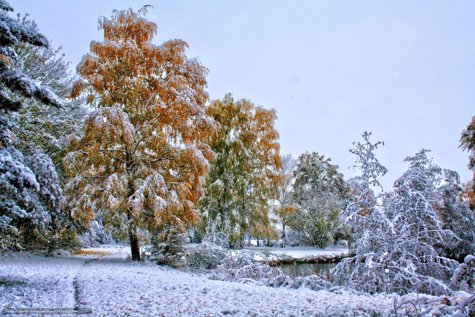 Snowy park with autumn trees