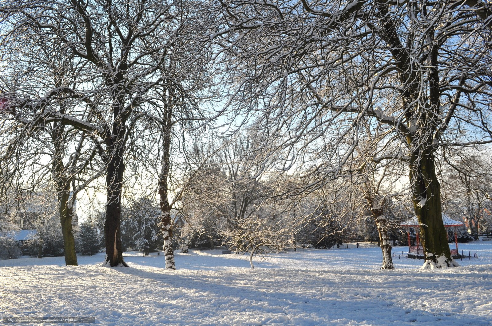 Snowy park with bare trees