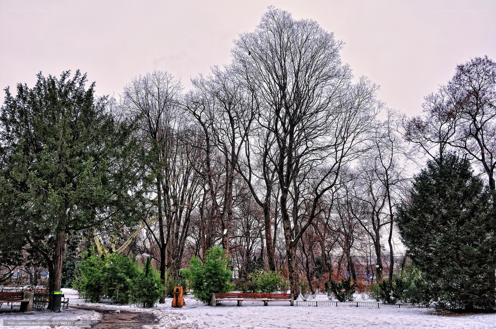 Snowy park with bare trees