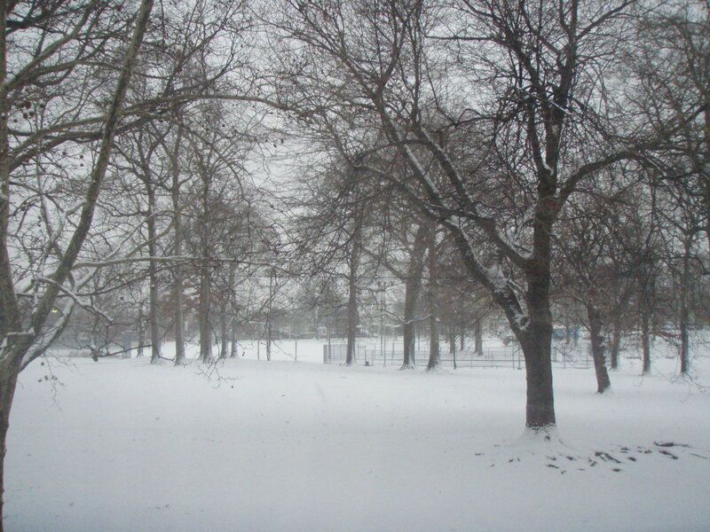 Snowy park with bare trees