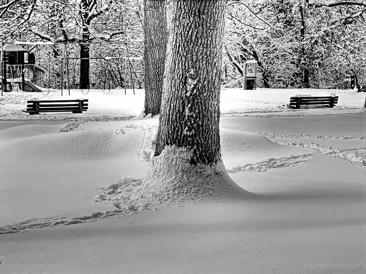Snowy park with benches