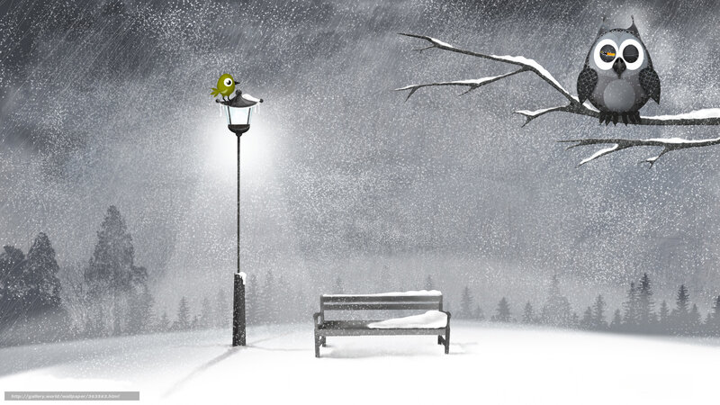Snowy park with birds
