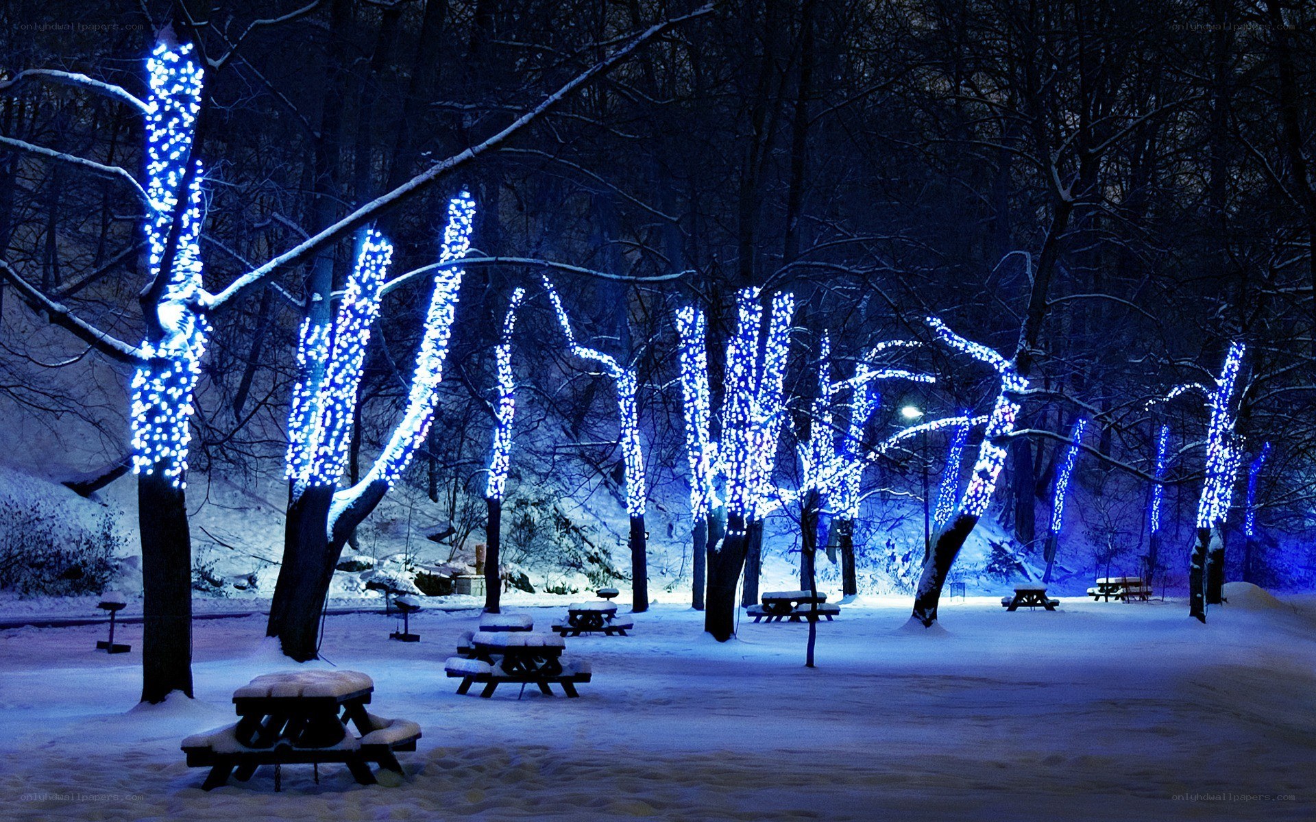 Snowy park with blue lights