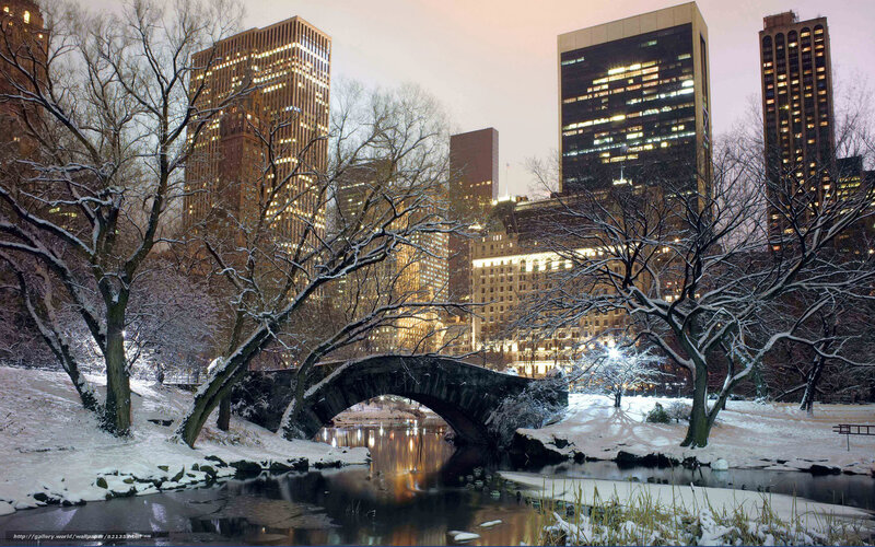 Snowy park with city skyline