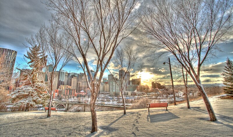 Snowy Park with City View
