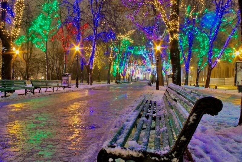snowy park with colorful lights
