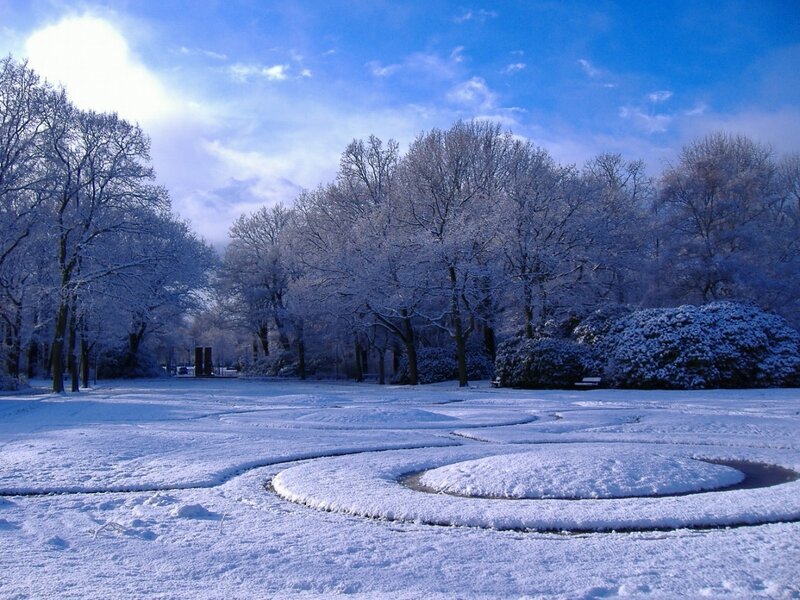 Snowy park with frost-covered trees