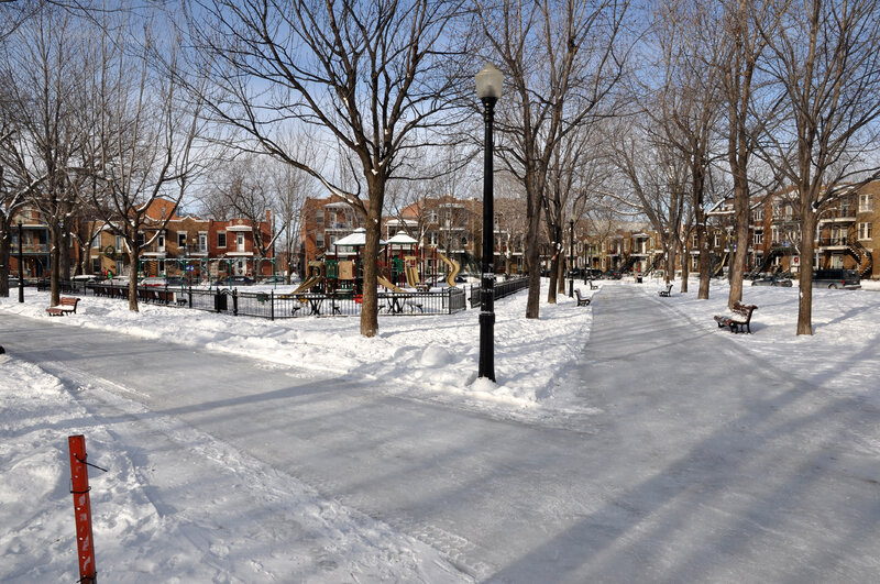 Snowy park with ice rink