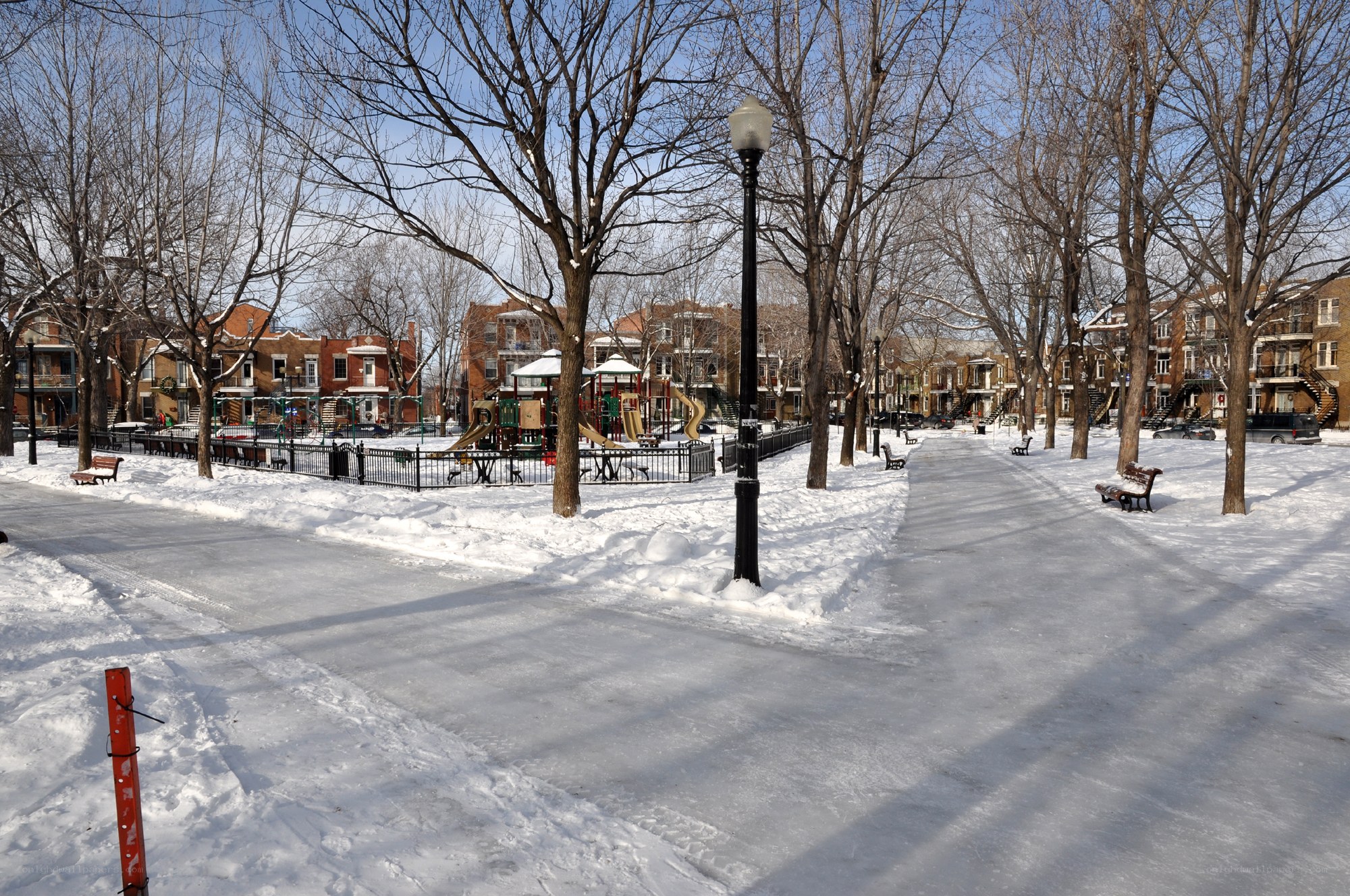 Snowy park with ice rink