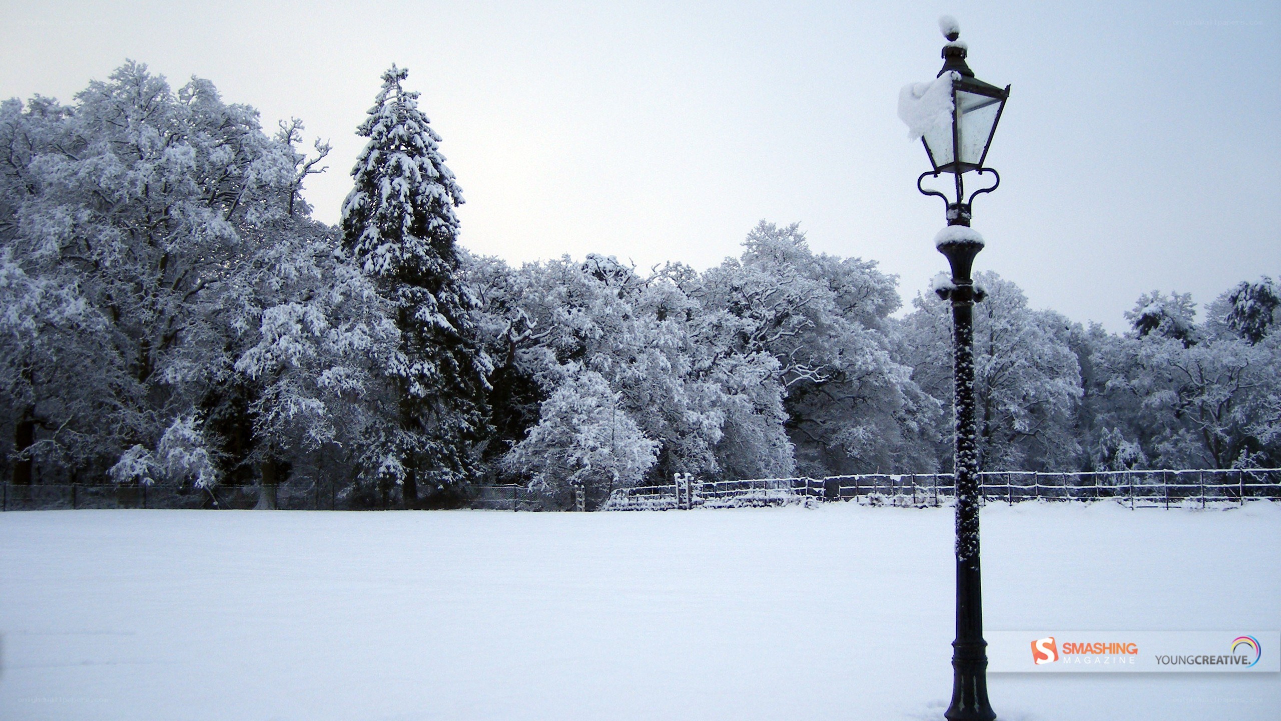 Snowy park with lamp post